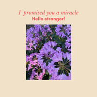 I promised you a miracle