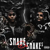 Snake da Snakes