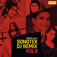 Sonotek DJ Remix Vol 9