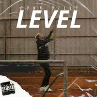 Level