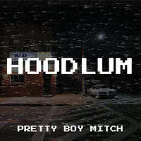 Hoodlum