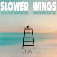 Slower Wings