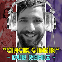 Cıncık Gibisin (Dub Remix)