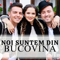 Noi Suntem Din Bucovina