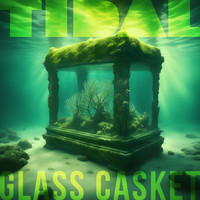 Glass Casket