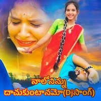 Nalo Ninnu Daachukuntaa Namo (Dj Song)