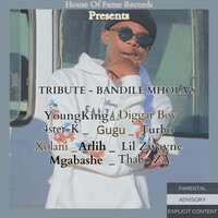 Tribute - Bandile Mhlola's
