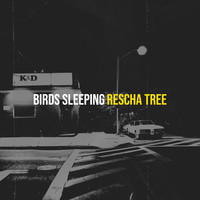 Birds Sleeping