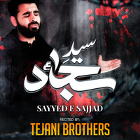 Sayyed E Sajjad