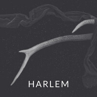 HARLEM