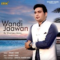 Wandi Jaawan