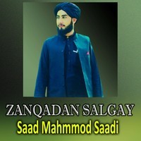 Zanqadan Salgay