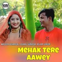 Mehak Tere Aawey