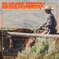 25 Golden Country Guitar Favourites