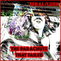 The Parachute That Failed
