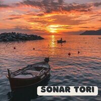 SONAR TORI