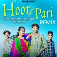 Hoor Pari (Remix)