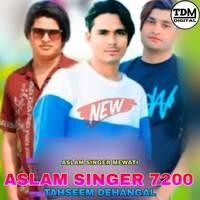 ASLAM SINGER 7200