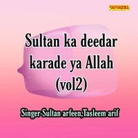 Sultan ka deedar karade ya allah vol 02