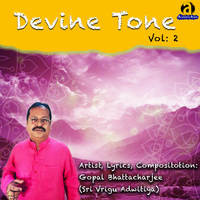 Devine Tone Vol 2