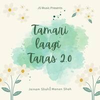 Tamari Laagi Taras 2.0