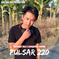 Pulsar 220