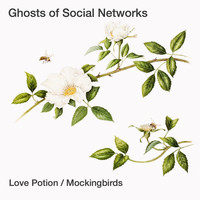 Love Potion / Mockingbirds