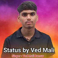 Status By Ved Mali