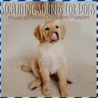 Soothing Sounds for Dogs - Music to Relax Dogs and Puppies