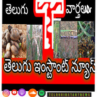 Telugu Instant News - season - 5 Song Download: Play & Listen Telugu