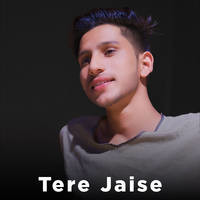 Tere Jaise