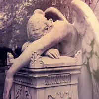 Angels Cry