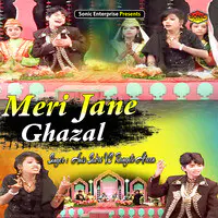 Meri Jane Ghazal