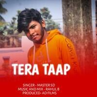 TERA TAAP