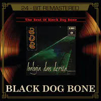 Hatiku Luka Lagi Mp3 Song Download By Black Dog Bone The Best Of Black Dog Bone Listen Hatiku Luka Lagi Song Free Online
