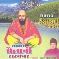 Baba Sailani Sarkar