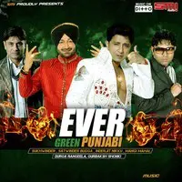 Evergreen Punjabi