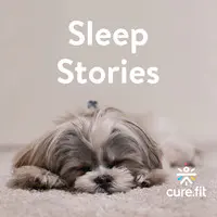 Sleep Stories