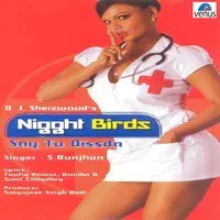 Nigght Birds- Rakhi Sawant