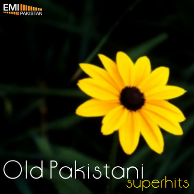 Mp3 pakistani punjabi songs Download Latest