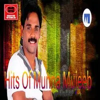 Hits Of  Munna Mujeeb