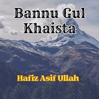 Bannu Gul Khaista