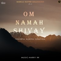 Om Namah Shivay (Powerful Mantra Chanting)