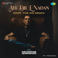 Aye Dil-E-Nadan - drop The Ice Remix