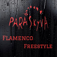 Flamenco Freestyle