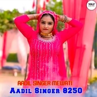 Aadil Singer SR 8250