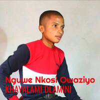 Nguwe Nkosi Owaziyo