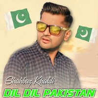 DIl DIl PAKISTAN