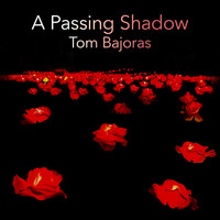 A Passing Shadow