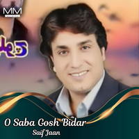 O Saba Gosh Bidar